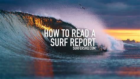 Magocs surf report